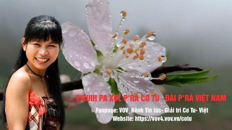 T'RUIH PA XƯL P'RA CƠ TU THỨ 3 T'NGAY 22/9/2026