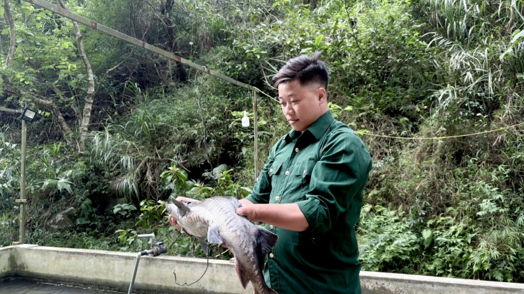 CỰU CHIẾN BINH DÚ LẠNG SƠN HẾT CHÀU TỨ LIỆNG PJA NẶM CẮT