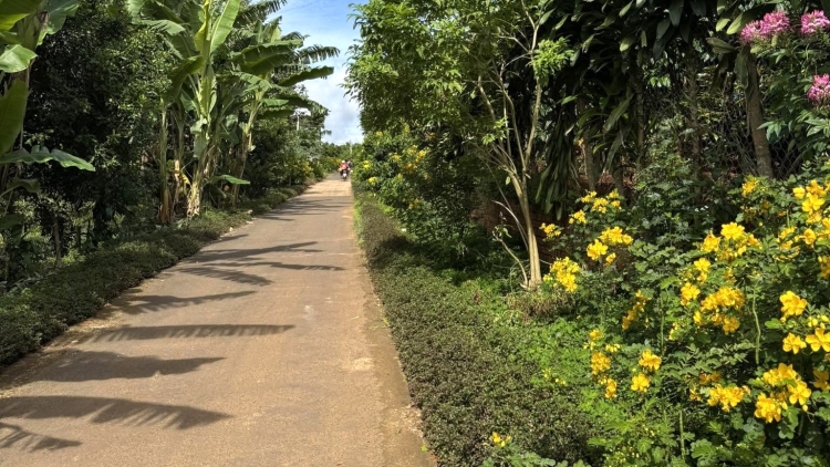 “Nơ̆r pơma đei lui yom” lơ̆m tơdrong pơjing tơring tơrang ‘nao tơ̆ tơring kon kông Lâm Đồng