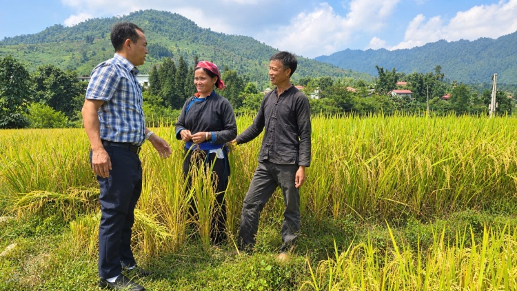 Lào Cai: Điểm tựa nông nghiệp xanh và du lịch sinh thái ở xã Bản Liền