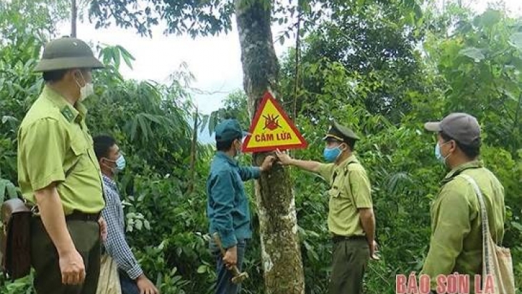 Ngon tô thứ 6 mự 2 căm bườn 10 pì 2026 – Ngon tô Quản lý, pảy chự cánh púk ten pá