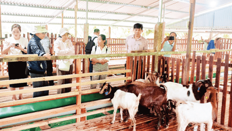 Bơtàu tơngguh ròng siam, tam phan pơgồp bal mờ lòt nhơl ƀòn brê bơnơm 