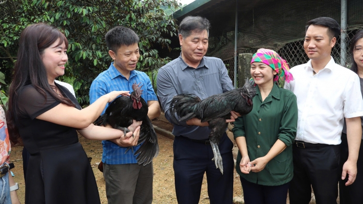 TỨ LƯỜN NÂNG LIỆNG NỌI THÂNG CÁP CĂN HẾT KIN 