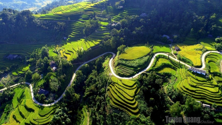 DƯƠNG CHỒM SLÌ TỔNG NÀ PỀN TAN DÚ TUYÊN QUANG