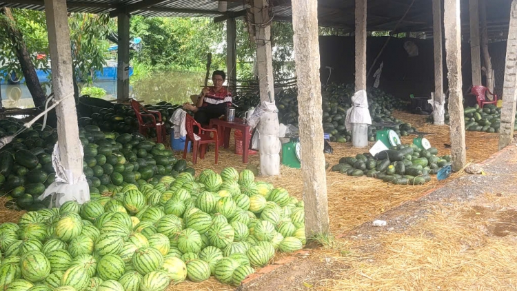 ឃុំតំបន់ឆ្ងាយដាច់ស្រយាលរបស់ដុងថាបឈោងឈានឡើងក្រោយពេលអនុវត្តរដ្ឋអំណាចមូលដ្ឋានពីរថ្នាក់