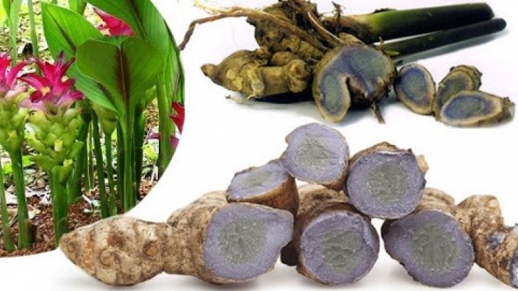 CƠNH CHOH LÂNG K’RANG K’NHÍ TĂM COH K’TIẾC BHA ĐƯN