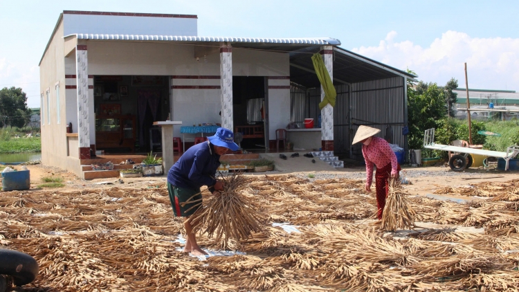 Đa dạng hóa sinh kế cho người nghèo vùng biên giới Tây Ninh