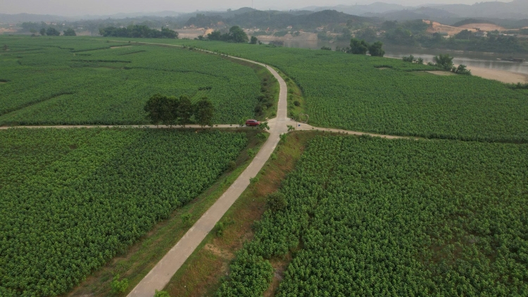 Ngon tô thứ 5 mự căm nưng bườn 10 pì 2026 – Côn pa tuôn uồn cón nẳng phổng púk mon Trấn Yên, Lao Cài