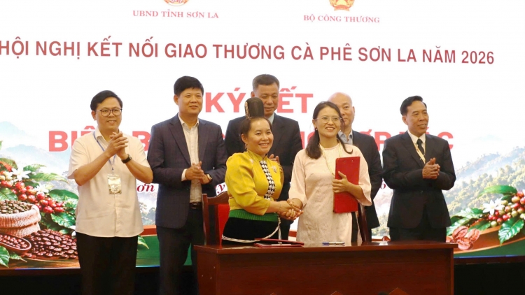 Lầy tzình phát sinh ìu miền vả thứ 4 hoi 14.10.2026