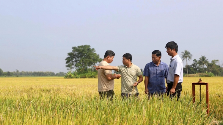 Dăk Lăk lơh gơlik kòi tơrmù sang nhơm ƀơ̆ tus bơdìh