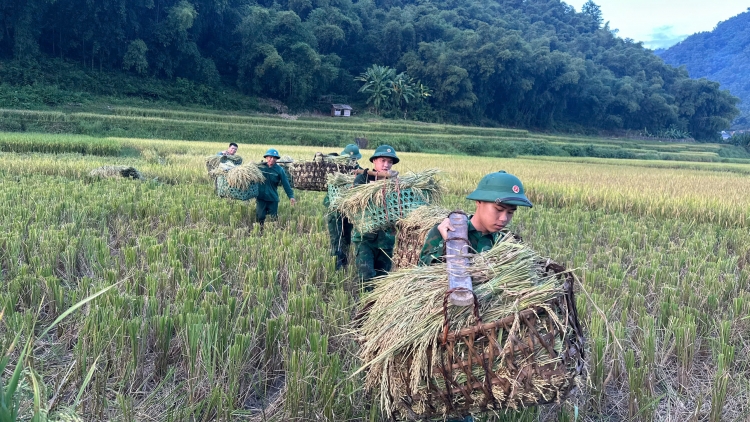 Màu áo xanh giữa mùa vàng nơi biên cương