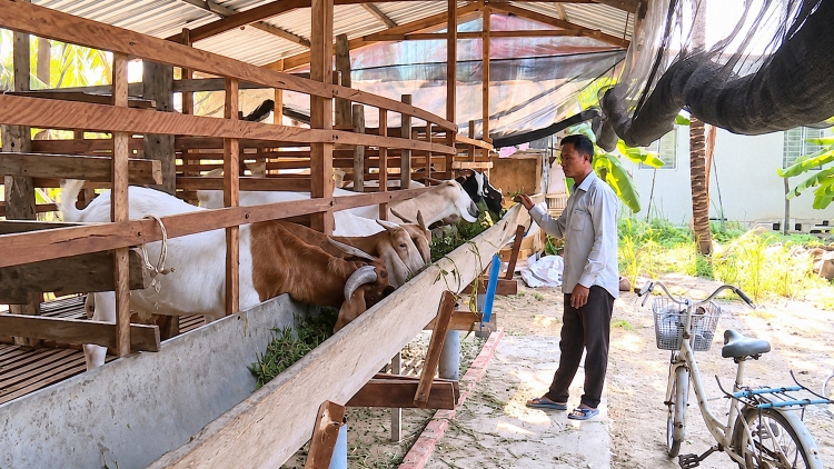 មូលនិធិជួយផ្ចុងផ្តើមកសិករ – ជាបង្អែកសម្រាប់ការផ្លាស់ប្តូរដ៏ខ្លាំងក្លា