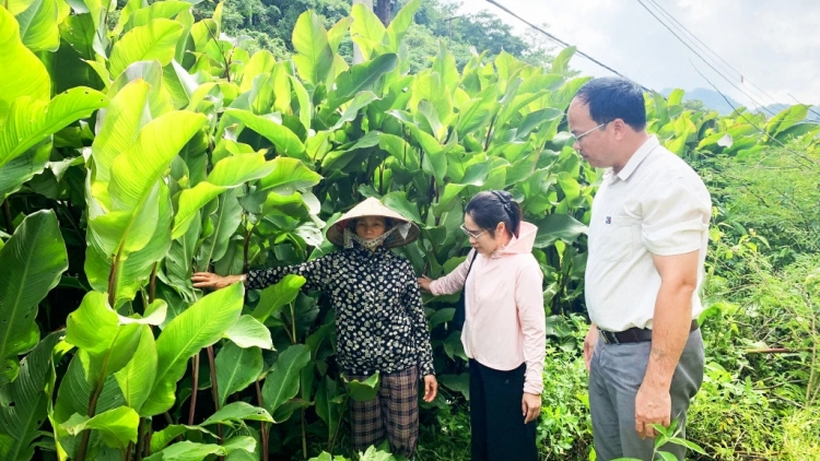 CAO BẰNG: CÁP CĂN ĐĂM CHAY THÂNG KHAI CO MẰN TOONG ĐENG