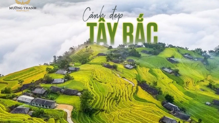 Phai paz phiến 