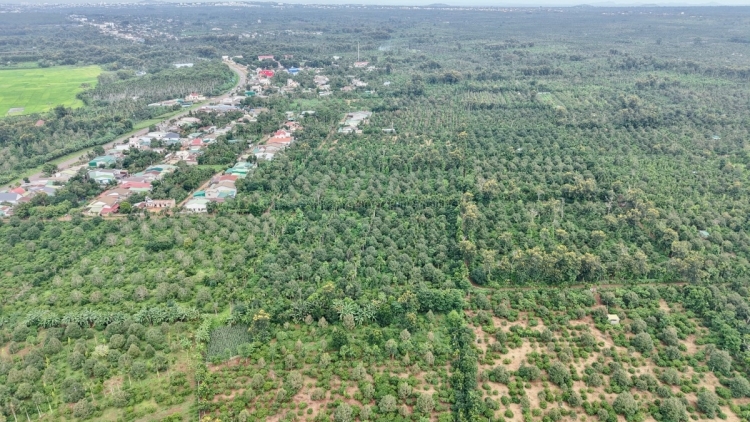 GAI KADAK BA MIKVA BANGSA TAKIK DI TAY NGUYEN UAK DREI TAGOK