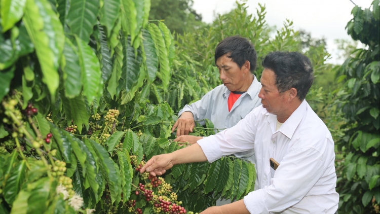 CẦN ĐẢY PỈ NOỌNG SLỨN ĐIẾP GIÀNG A LỲ DÚ BẢN ĐẮL SNAO