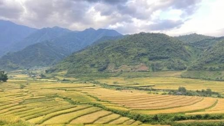 Ngon tô thứ 3 mự 20 căm bườn 10 pì 2026: Khù po hay me na cận hụ số 5