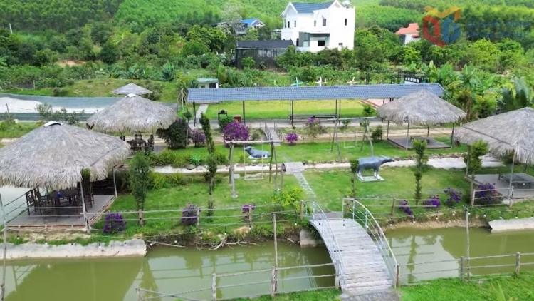 BẠI BÚNG DƯƠNG CHỒM KHEO SLÂƯ DÚ HOÀNH BỒ (QUẢNG NINH)