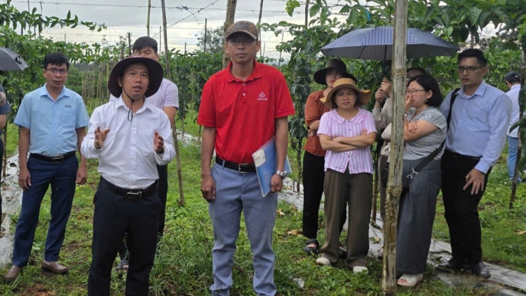 Gia Lai ƀư ngăch nau pă mrô nkuăl tăm tĭng Nau ntrŭnh mrô 36 bah Chính phủ