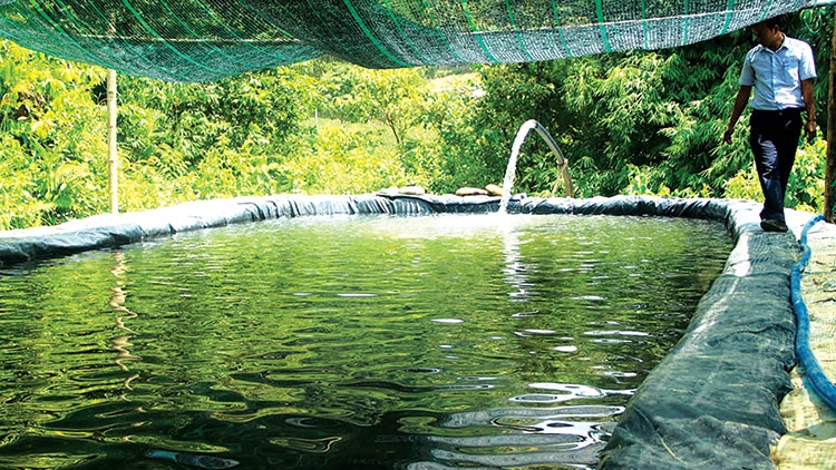 BĂN A XIU ĐHỊ ĐAC CHRỘ