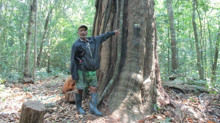 Linh j^ rơ ka K’Ho kla tơ mam ‘mêm ăn kơ bri
