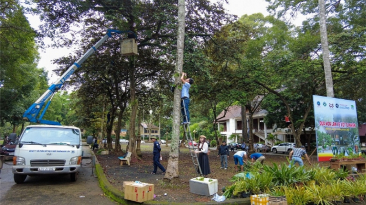 Chô̆ pơtăm pơkao lan tơ̆ dơnơm ‘long pơm yơ̆p pơm ‘lơ̆ng măt lăng kơphô̆ phương Dak Lăk