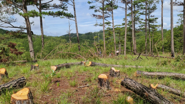 Phă bri tơ\ Đà Lạt roi năr roi kơne# khenh