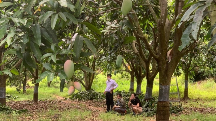 Kơ jă Pơ ŏ tơjur kơtang, bơngai pơtăm jang sa ư̆h kơ đei