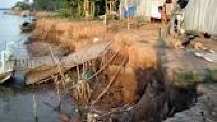 khau tin 19h harei 8/10