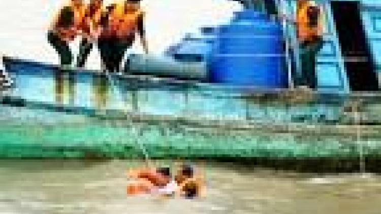 khau tin 10h30 harei 9/10