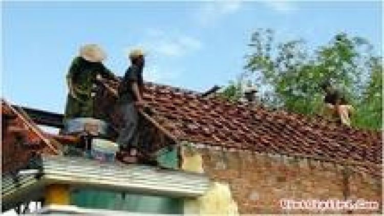 khau tin 19h harei 13/11