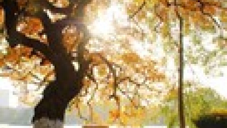 Tra Vinh peih ngak sumu gauk  dom jalan langyah bruk pablei kaya nong