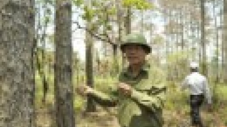 Khánh Hòa mek veik taneh lâm trường jao ka bhapbini bangsa takik kan kathaot