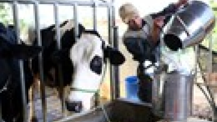 Khau tin 10h30 song 14h30 harei 4-2-2015