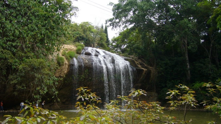 Tây Ninh: ikan daok metai di krong Vàm Cỏ Đông