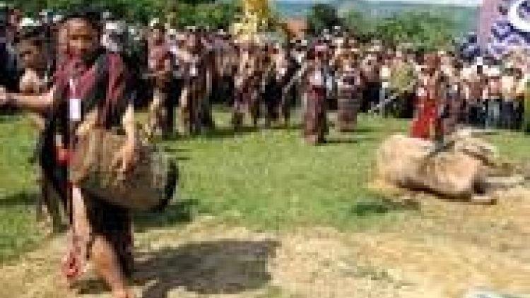 khau tin 19h harei 14/5 saong 6h30 harei 15/5