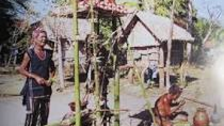 Khau tin ilamu harei 21-6-2015