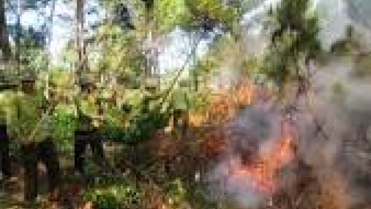 khau tin 10h30 saong 14h30 harei 9/6