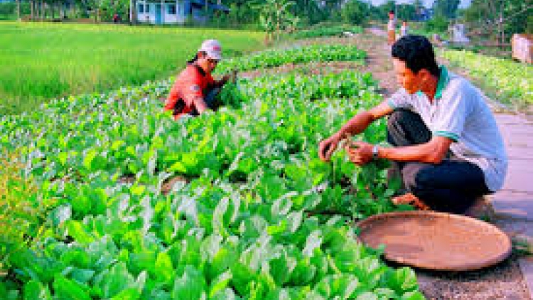 Sóc Trăng: Hadah hadai di sa bhum palei urang Khmer