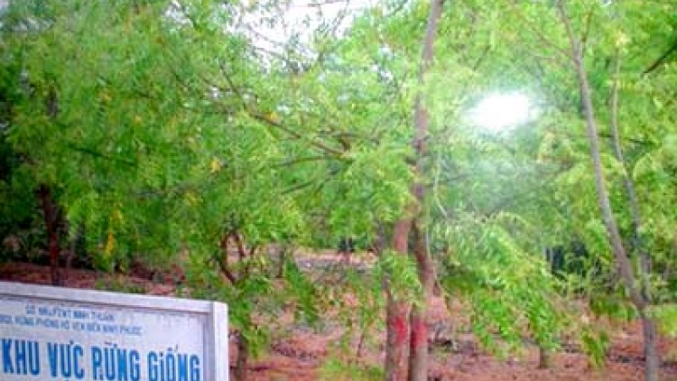 Ninh Thuan pambak praong taneh pala phun neem