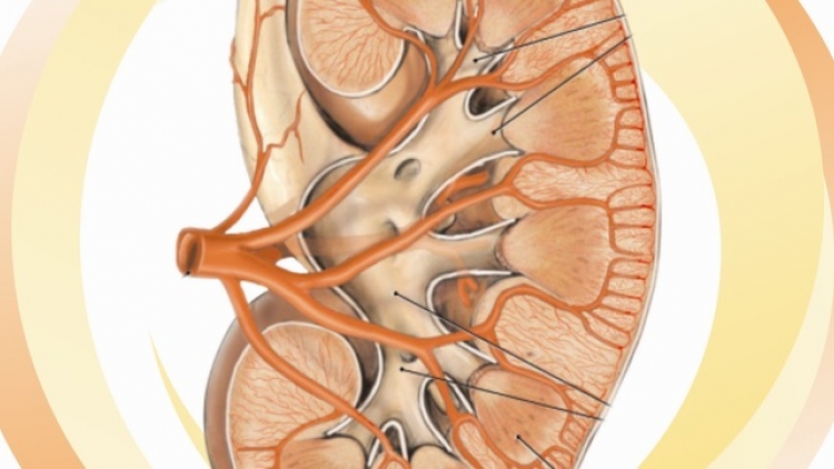 dom dau hieu thau lac ruak than