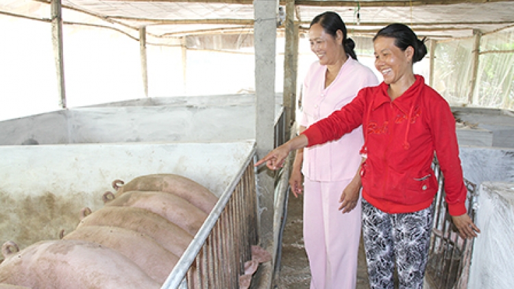 khau tin 19h harei 9/7 saong 6h30 harei 10/7