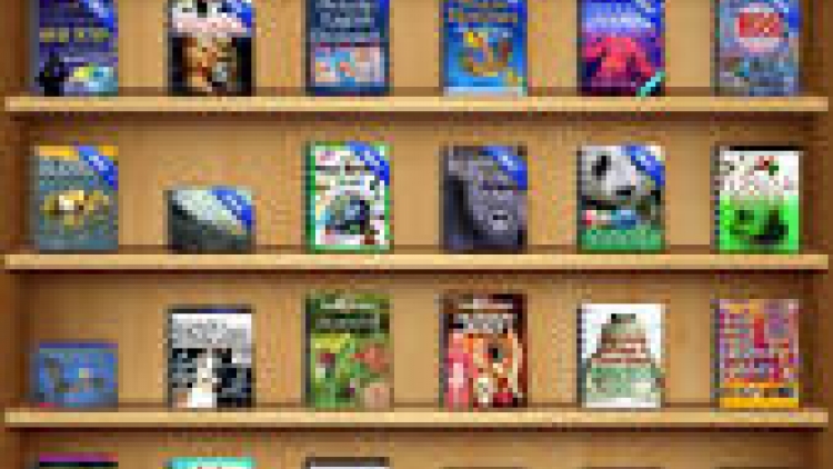 khau tin 6h30 harei 3/9