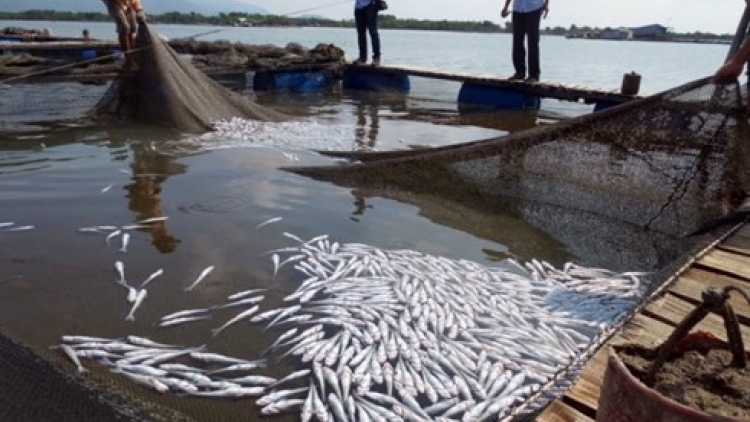 Duah jalan langyah bruk nerak tachauk angok kraong Chà Và