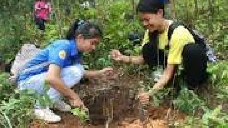 khau tin 6h30 harei 7/9