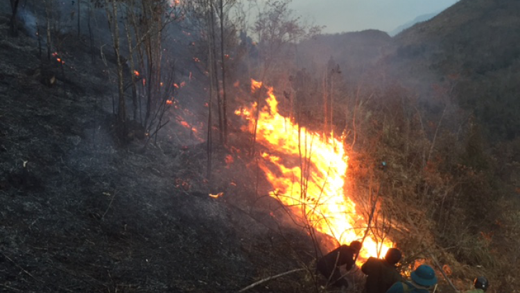 khau tin 10h30 harei 2/12