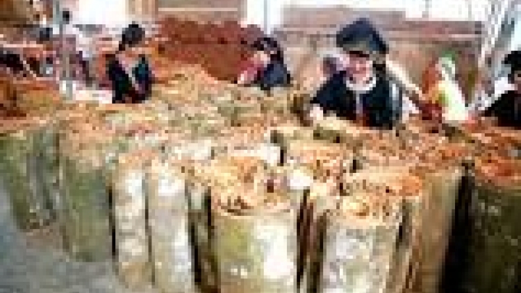 khau tin 10h30 harei 24/9