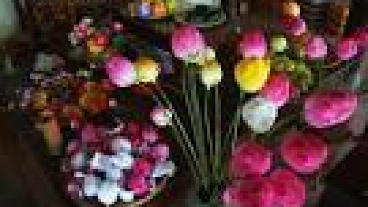 Khau tin mesup harei but