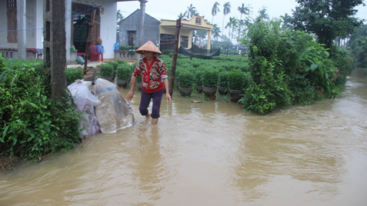 khau tin 6h30 harei 7/12