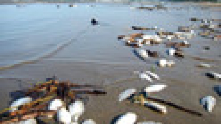 Khaw tin 19h harei 27/4 saong 6h30 harei 28/4